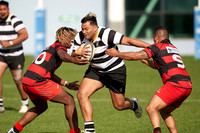 Harper Lock Shield - Ories vs Poneke 7 May