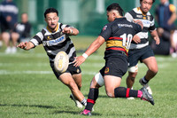 Swindale Shield - Ories vs Paremata Plimmerton 4 April