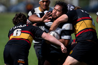 Harper Lock Shield - Ories vs Paremata Plimmerton 4 April
