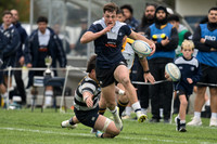 Swindale Shield - Ories vs Petone 16 May