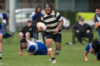 Harper Lock Shield - Ories vs Norths 23 May