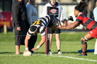 Swindale Shield - Ories vs Poneke 30 May