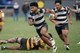 Swindale Shield - Ories vs Wellington 20 June