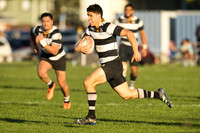 Swindale Shield - Ories vs Poneke 8 June