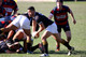 Wellington College 1st XV vs HIBS 1st XV 26 July 2014