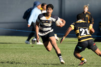 Harper Lock Shield - Ories vs Wellington 22 June