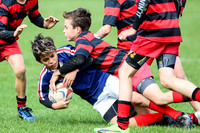 U12 Wests Hawks vs Poneke Turbos 14 April