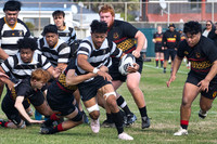 Paris Memorial Trophy - Ories vs Paremata Plimmerton 6 April