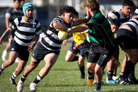 Paris Memorial Trophy - Ories vs Wainuiomata 11 May