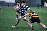 Swindale Shield - Ories vs Wellington 22 June